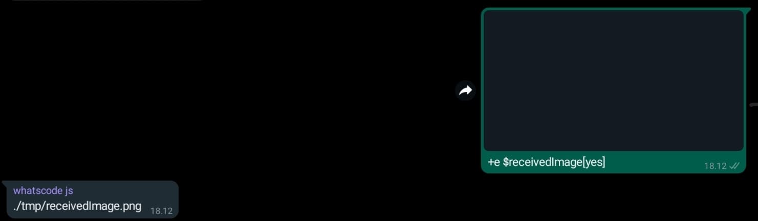 receivedimage usage